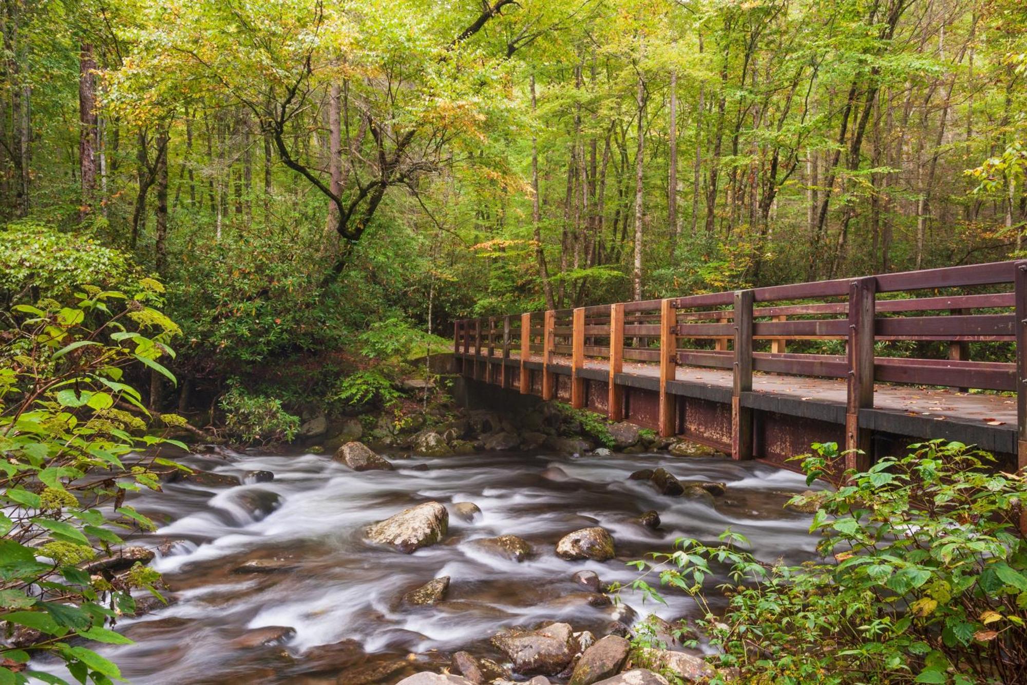 Rock Of Ages, Hot Tub, Game Room, Wifi, 1089 Free Tickets Each Paid Day, Dollywood And More Pigeon Forge Dış mekan fotoğraf